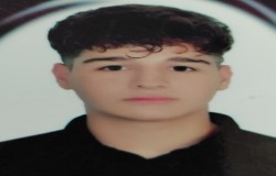 محمدرضا سبزعلی