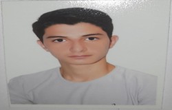 آرمان محمودی