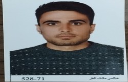 حامد فرجی