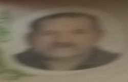 سردار ولائی