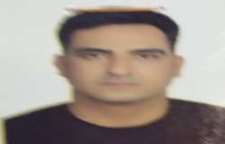 راوش داودی