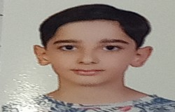 پارسا طوطی