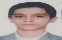 ابوالفضل محمدی
