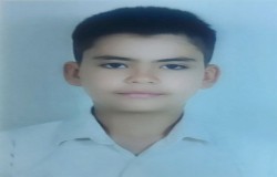امیر علی فولادوند