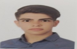 مهدی ارمغان
