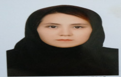 فرزانه حمیدی