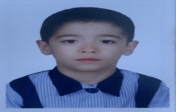 امیرمهدی تیموری