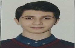 امیرعلی حسن بک وری فراهانی