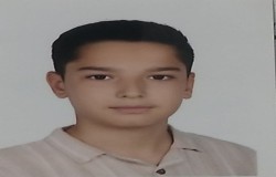 آروین سویزی
