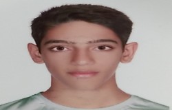 امیر محمد صحرائی