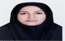 هنگامه عرب