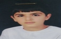 طاها شهبازی نی باغی