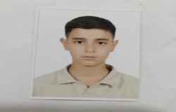 امیر علی زارعی