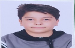 ایلیا علی پناهی