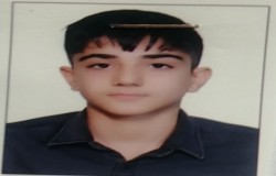 محمد مهدی تیموری