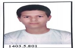 آراد اکبری