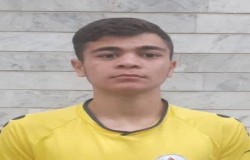 ایلیا نخبه زارع