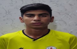 آیدین بارانی توانا