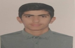 محمود عامری