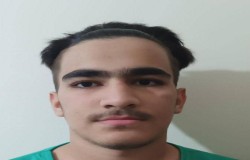 امیر محمد نظامی