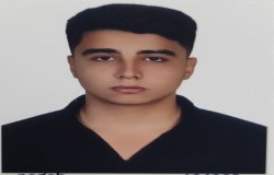 کمیل مردافکن