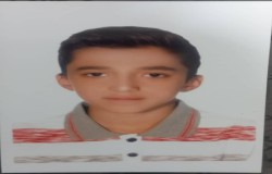 ماهان تولایی