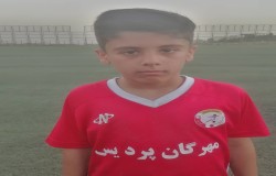امیررضا دولت آبادی