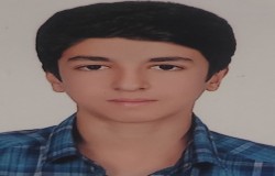 محمدامین کیامنش