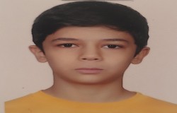 محمدامین نیکویه