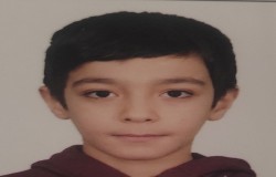 محمدرضا محمدی