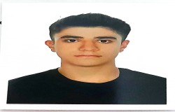 امیر علی شمس