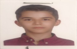 مانی احمدی