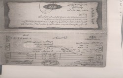 محمدامین عبدلی طلایی
