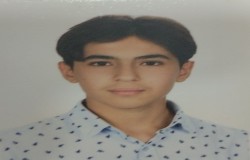 ماهان فیروزیان