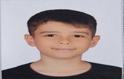 آروین حبیبی