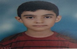 بردیا محمودپور