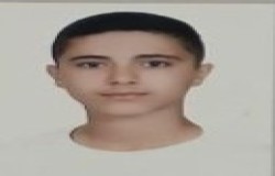 محمدمهدی علیپور