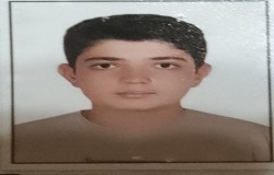مبین رفیعی