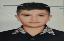 آراد دولتشاهی