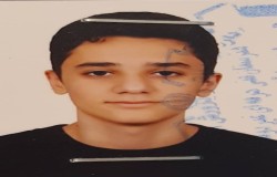 پارسا علی پور