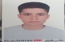 محمد مهدی قربانی