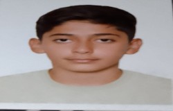 امیر علی جعفری فشکی