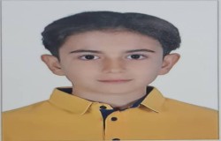 محمدعرفان محمودی