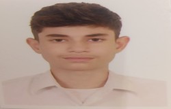 آریو سروشی