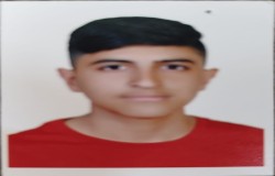 سیدمحمد موسوی