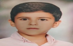 امیرحسین انصاری