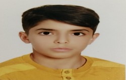 امیرمهدی اسلامی