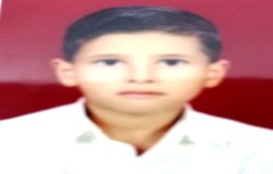 امیرحسین عادل نیا