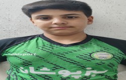 امیرعلی وردی