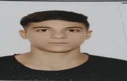 شایان عظیمی
